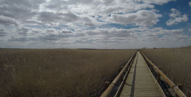 Laguna de Manjavacas en Mota del Cuervo (Cuenca).