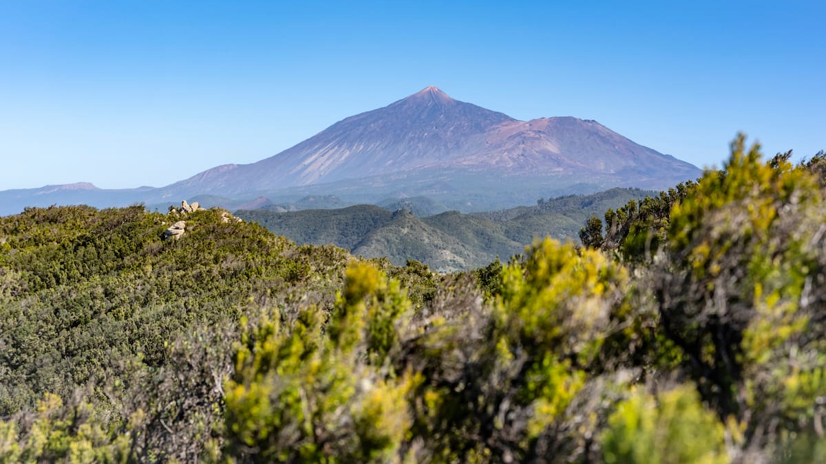 "No estamos ni de lejos como cuando el volcán de La Palma": Itahiza Domínguez