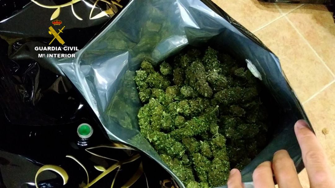 Cogollos de marihuana preparados para su venta