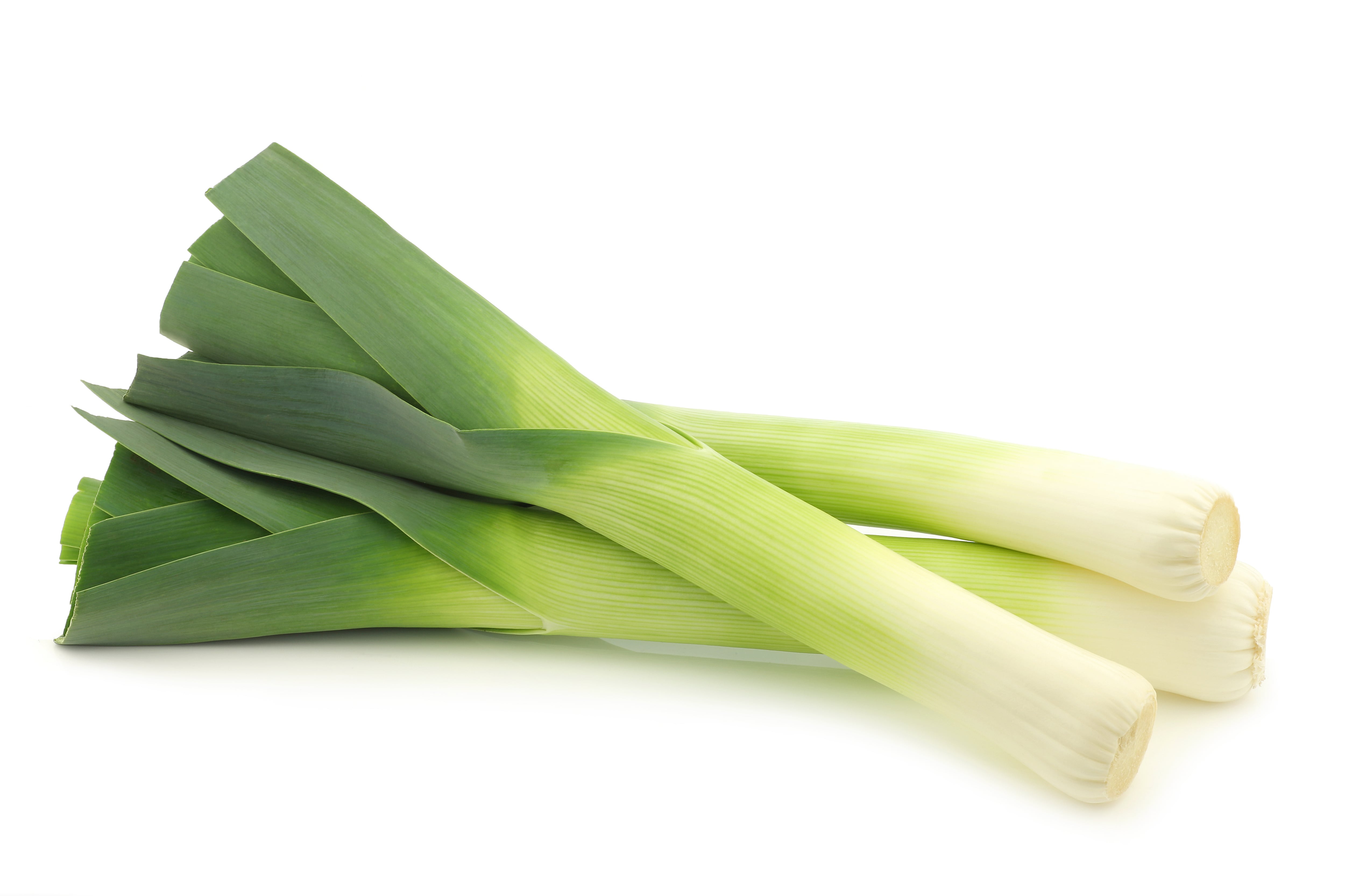 fresh leek on a white background