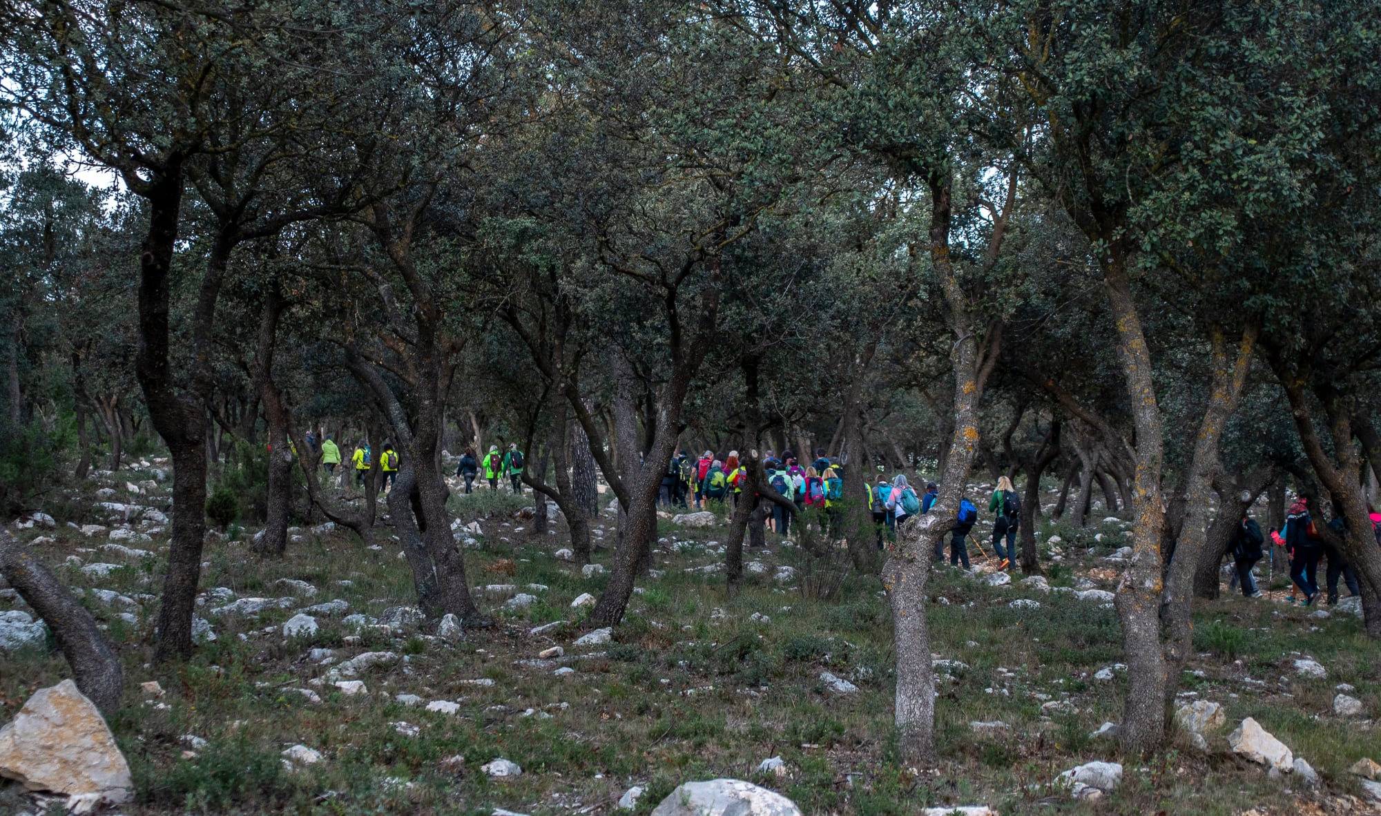 Aviana en Bocairent