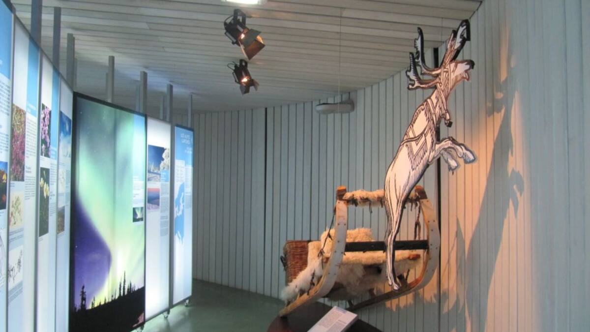 Programación Navidad en el Jardín Botánico