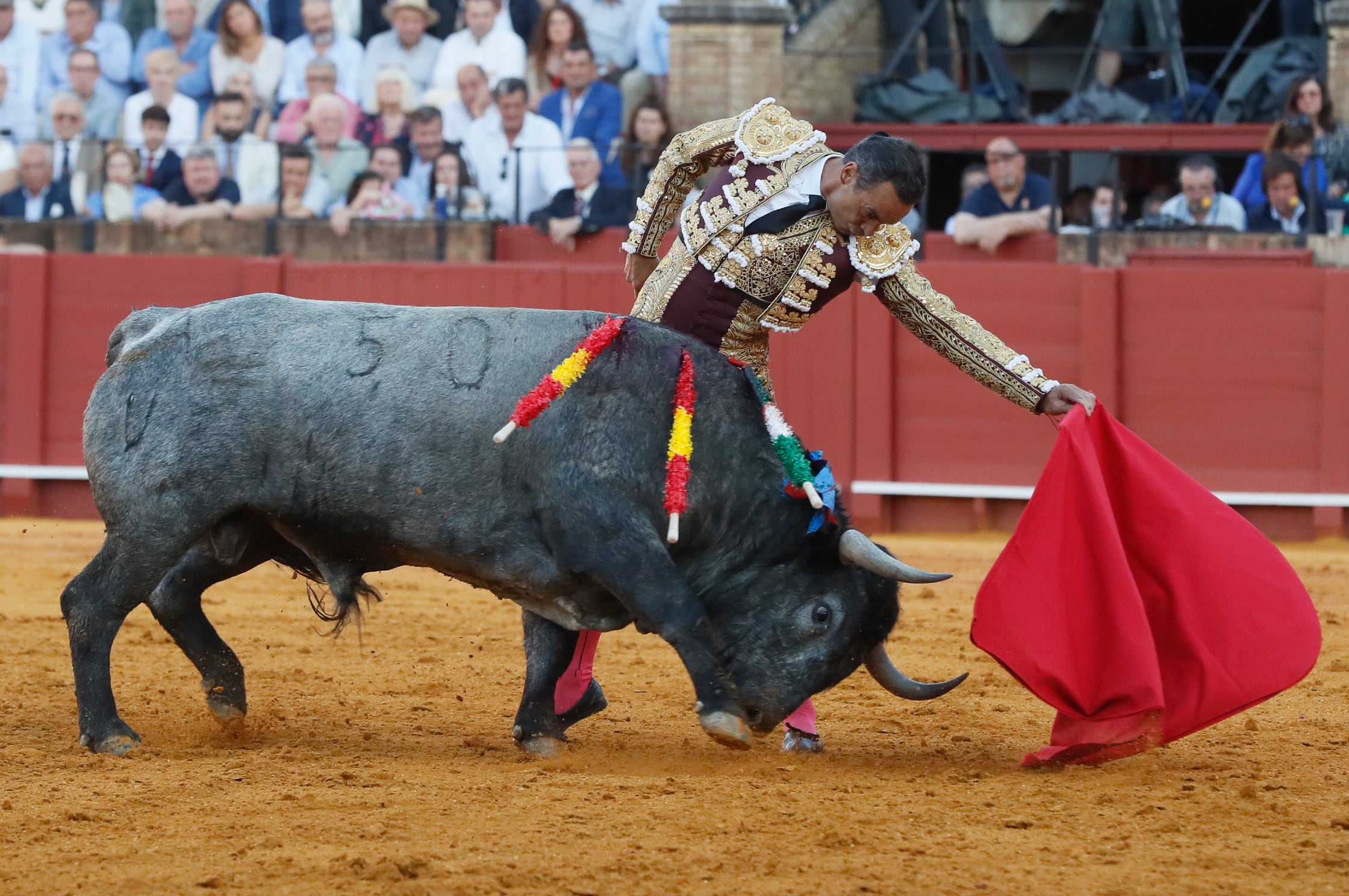 SEVILLA, 22/04/2023.- El diestro Manuel Jesús &quot;El Cid&quot; durante la corrida celebrada este sábado en la Real Maestranza de Sevilla, lidiando toros de Victorino Martín. Comparte cartel con El Cid y Manuel Escribano. EFE/ José Manuel Vidal
