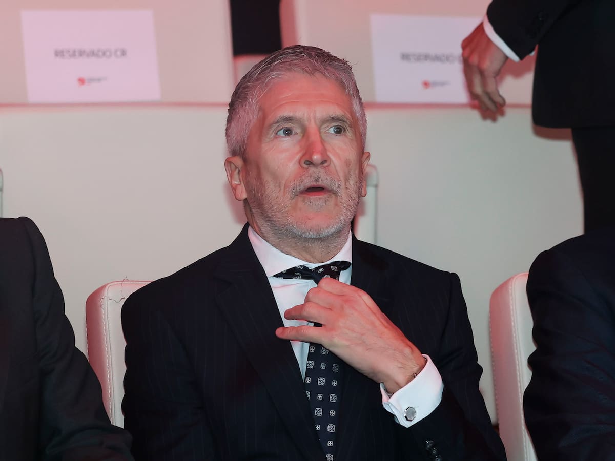 Eduardo Madina y sus preguntas a Marlaska: "Si no se enteró de la denuncia, ¿de qué se entera?"