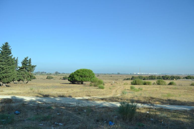 Suelos de Las Aletas al fondo