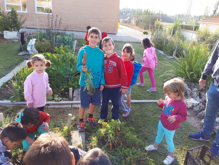 Todos los cursos se encargan de cuidar el huerto del CRA Valle del Riaza