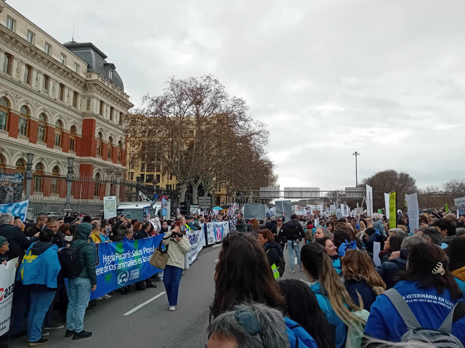 La concentración se celebraba frente al Ministerio de Agricultura