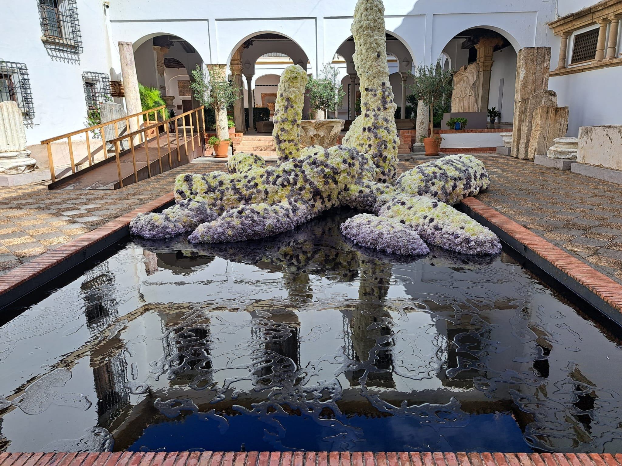 Instalación de Tadao Cern en el Museo Arqueológico de Córdoba como parte de FLORA 2023