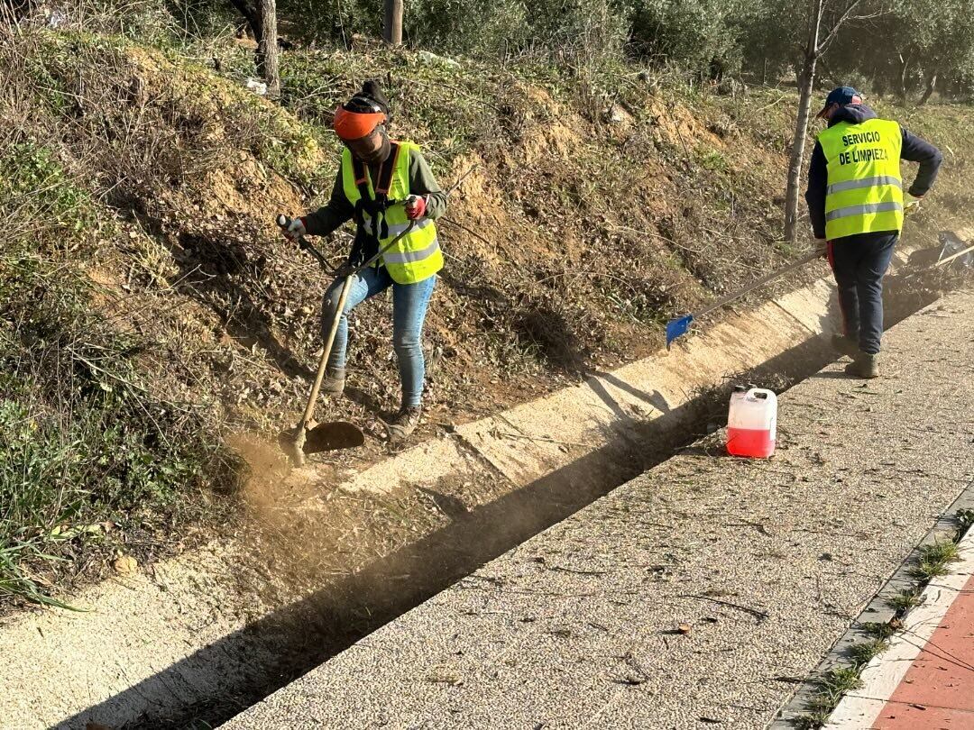 Limpieza en los accesos de Baeza