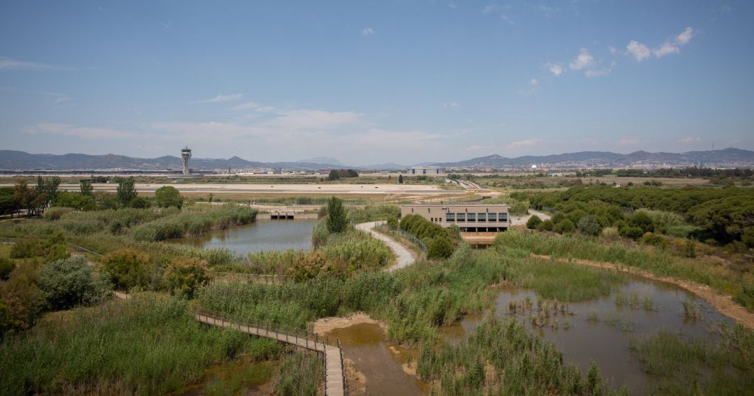 El aeropuerto de de Josep Tarradellas Barcelona-El Prat, cerca del espacio protegido natural de La Ricarda, en El Prat de Llobregat, Barcelona.