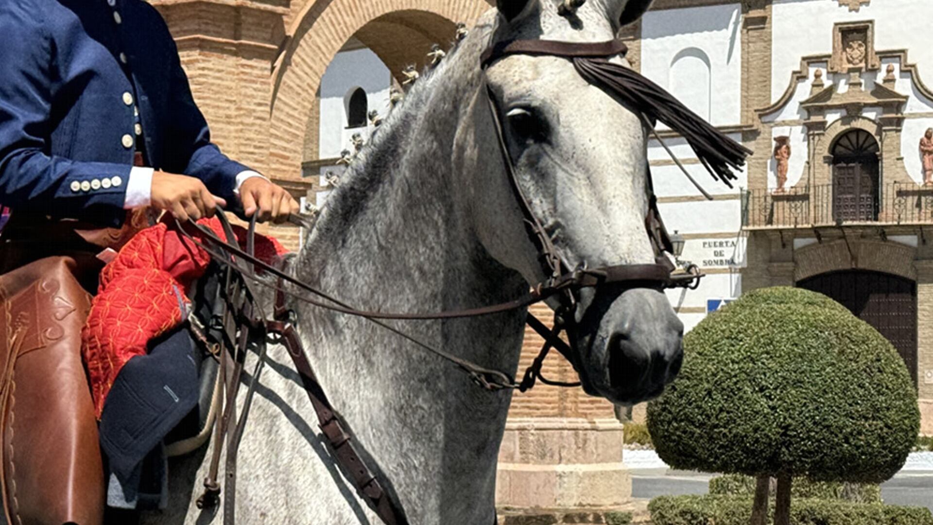 Un caballo pasea durante la Real Feria de Agosto de Antequera