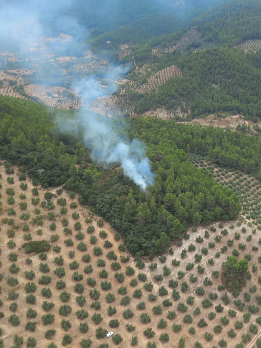 Imagen aérea del incendio de Siles.