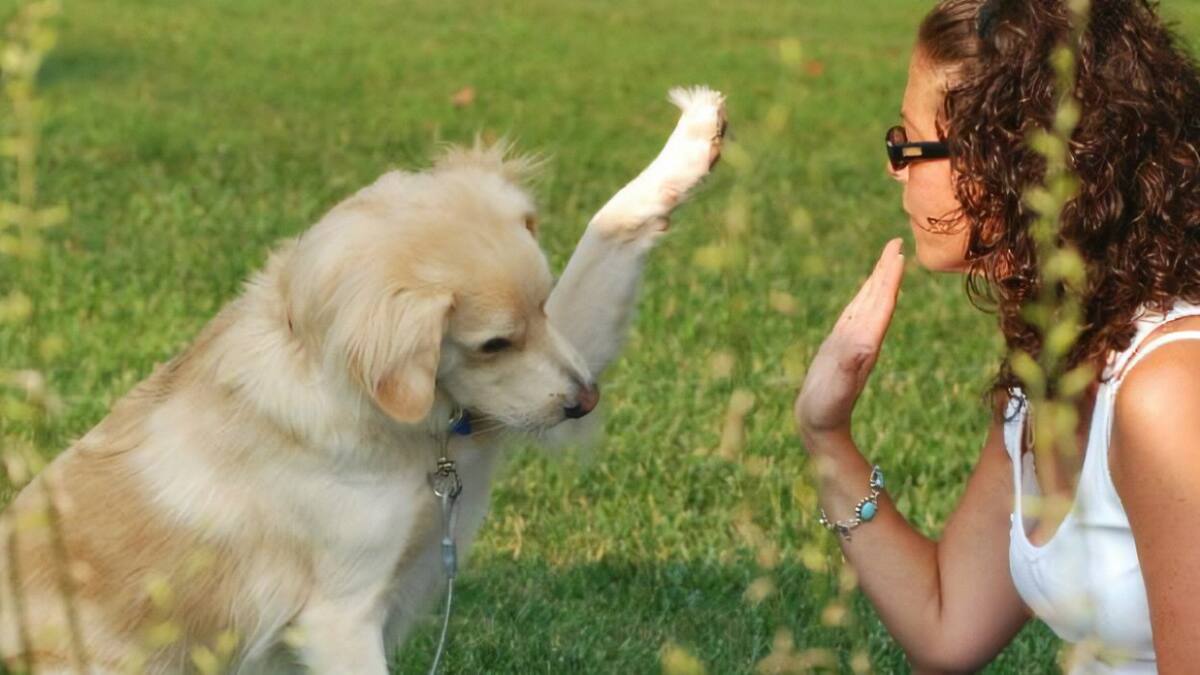 Daniel García, gerente de BIOMascotas Peñafiel, repasa en tiempo de Hoy por Hoy Peñafiel