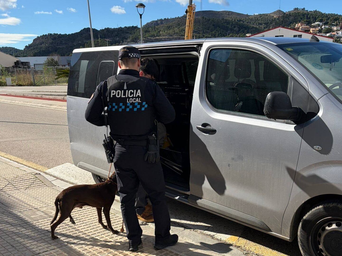 Rescate perros Real de Gandia