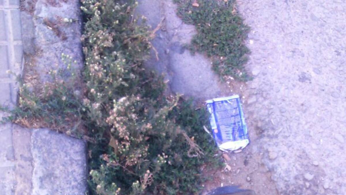 usted dirá, viernes 26 agosto de 2016