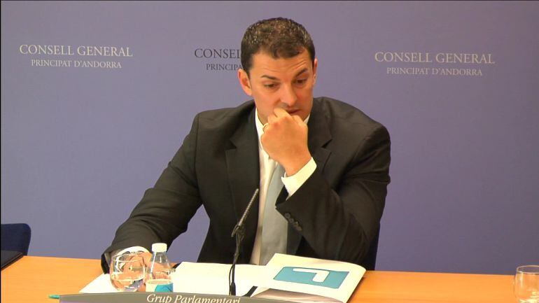 El president suplent del grup liberal, Jordi Gallardo.