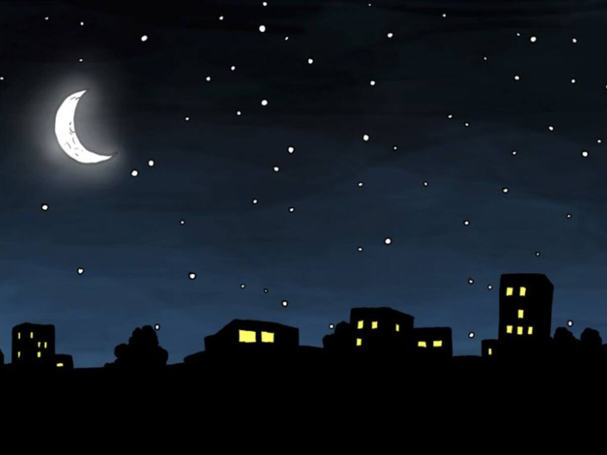 Ramón: "Soy camionero y, al ir a descargar a unos grandes almacenes, vi una imagen que me rompió el corazón"