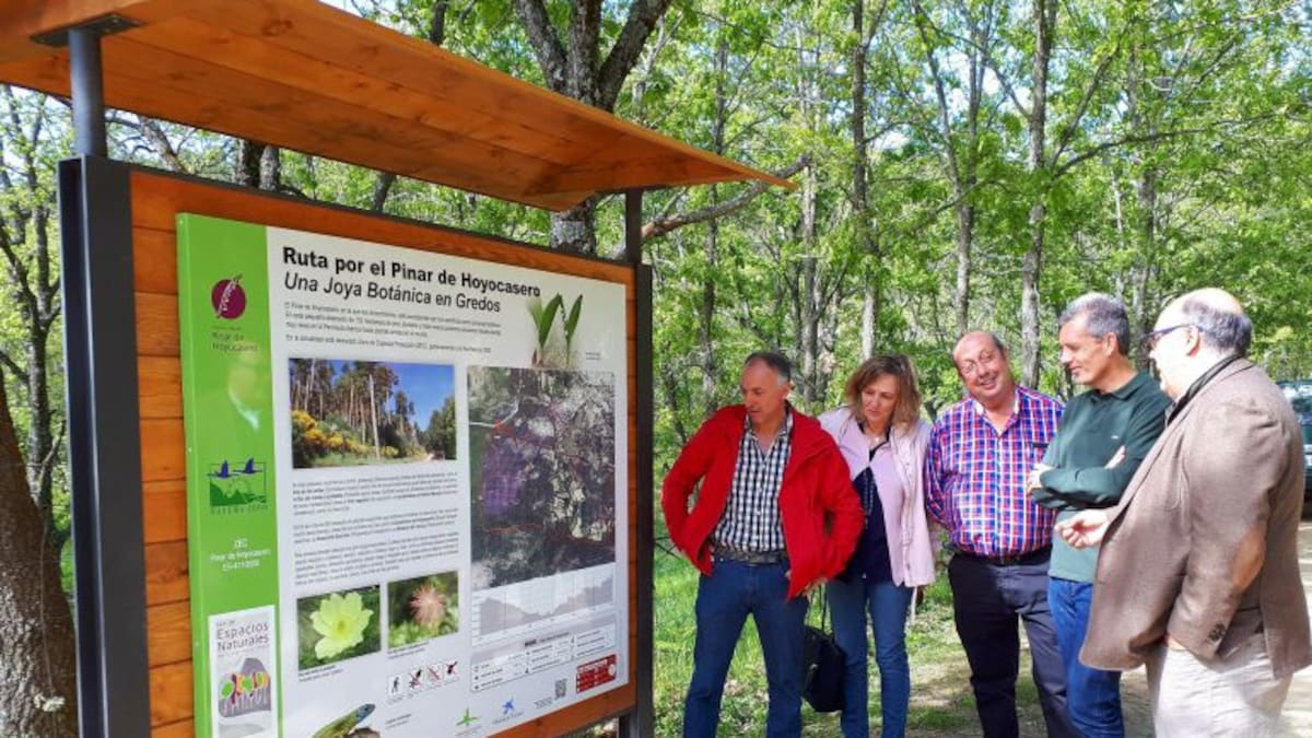 Mejoras en el Pinar de Hoyocasero