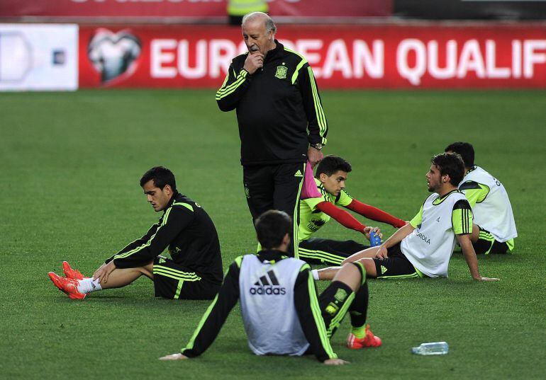 Del Bosque podría hacer debutar a Vitolo y Juanmi ante Holanda.