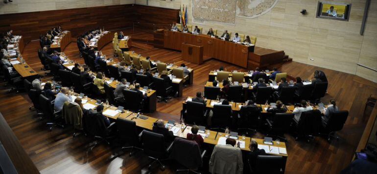 Una sesión plenaria en la Asamblea