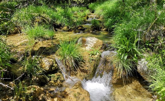 La ruta sigue el curso del arroyo de las Chorreras.