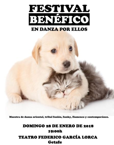 La tercera edición del festival benéfico por la protectora de animales se celebra en el García Lorca