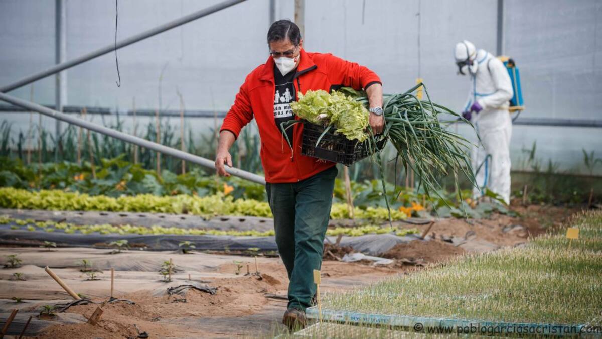 “Si yo soy Iglesia, la Iglesia está presente en este huerto”