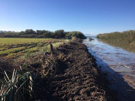 Reconstrucción de las motas del Saler