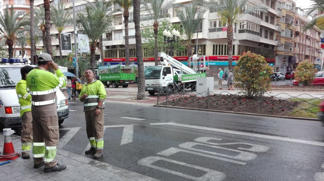 Trabajadores de la actual contrata de mantenimiento de zonas verdes