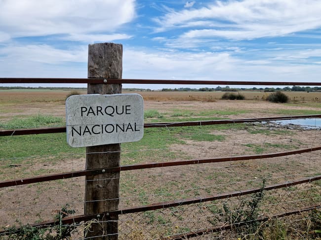 Vista del Parque Nacional de Doñana desde la localidad de Almonte (Huelva)