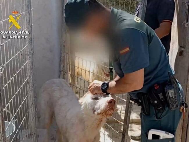 Han sido encausadas 58 personas en Andalucía