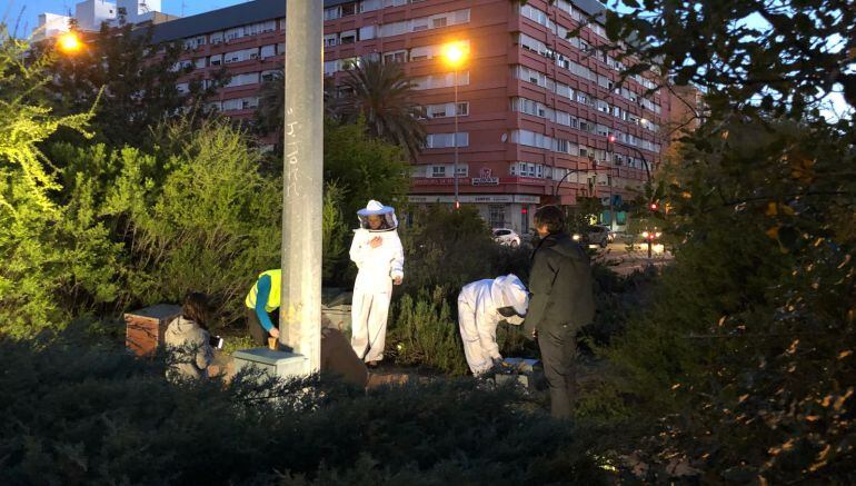 Instalación de la Red de Recuperación de Enjambres Urbanos 