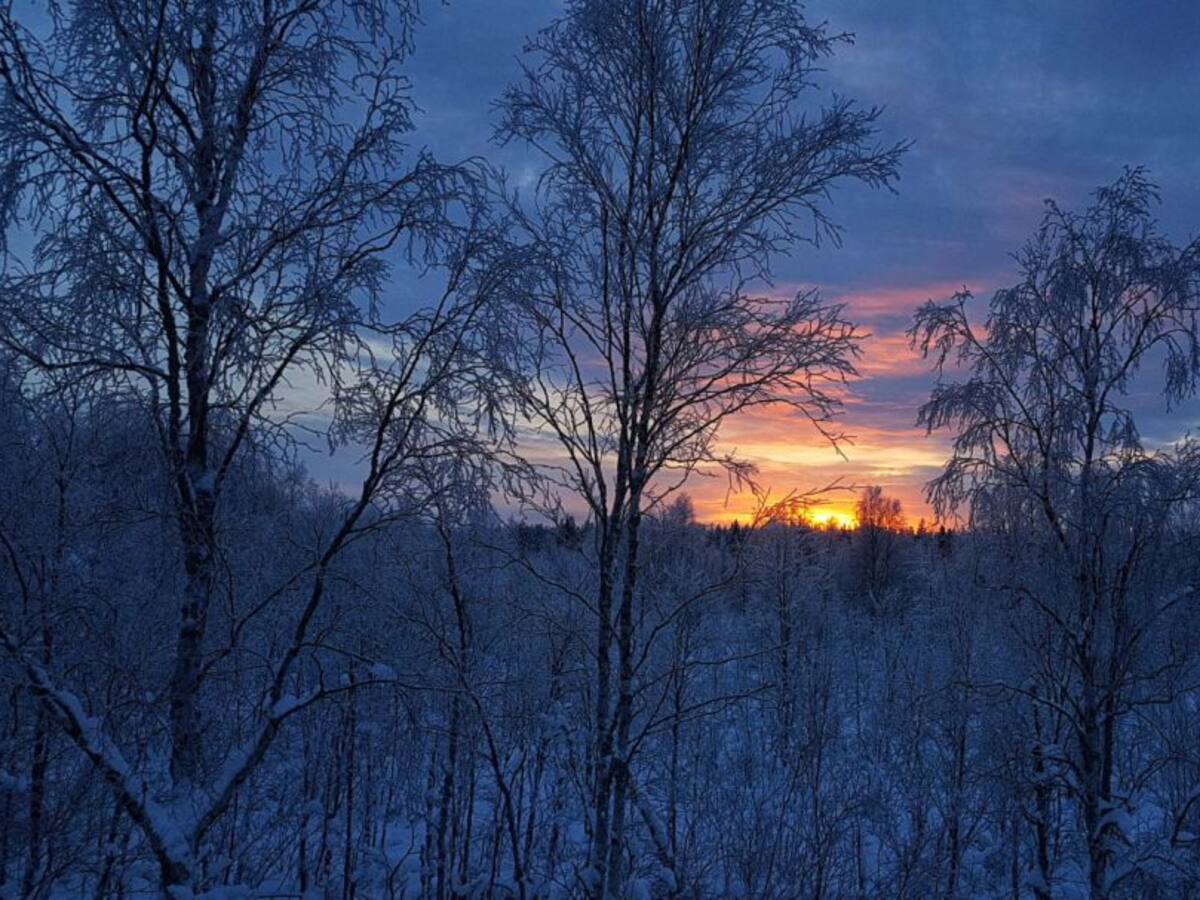 ¿A qué suena el Invierno?