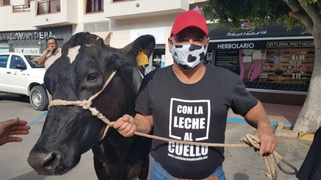 Ganaderos de vacuno de leche convocados por las organizaciones agrarias andaluzas ASAJA, COAG y UPA mantienen un calendario de movilizaciones para exigir el cumplimiento de la Ley de la Cadena Alimentaria (archivo)