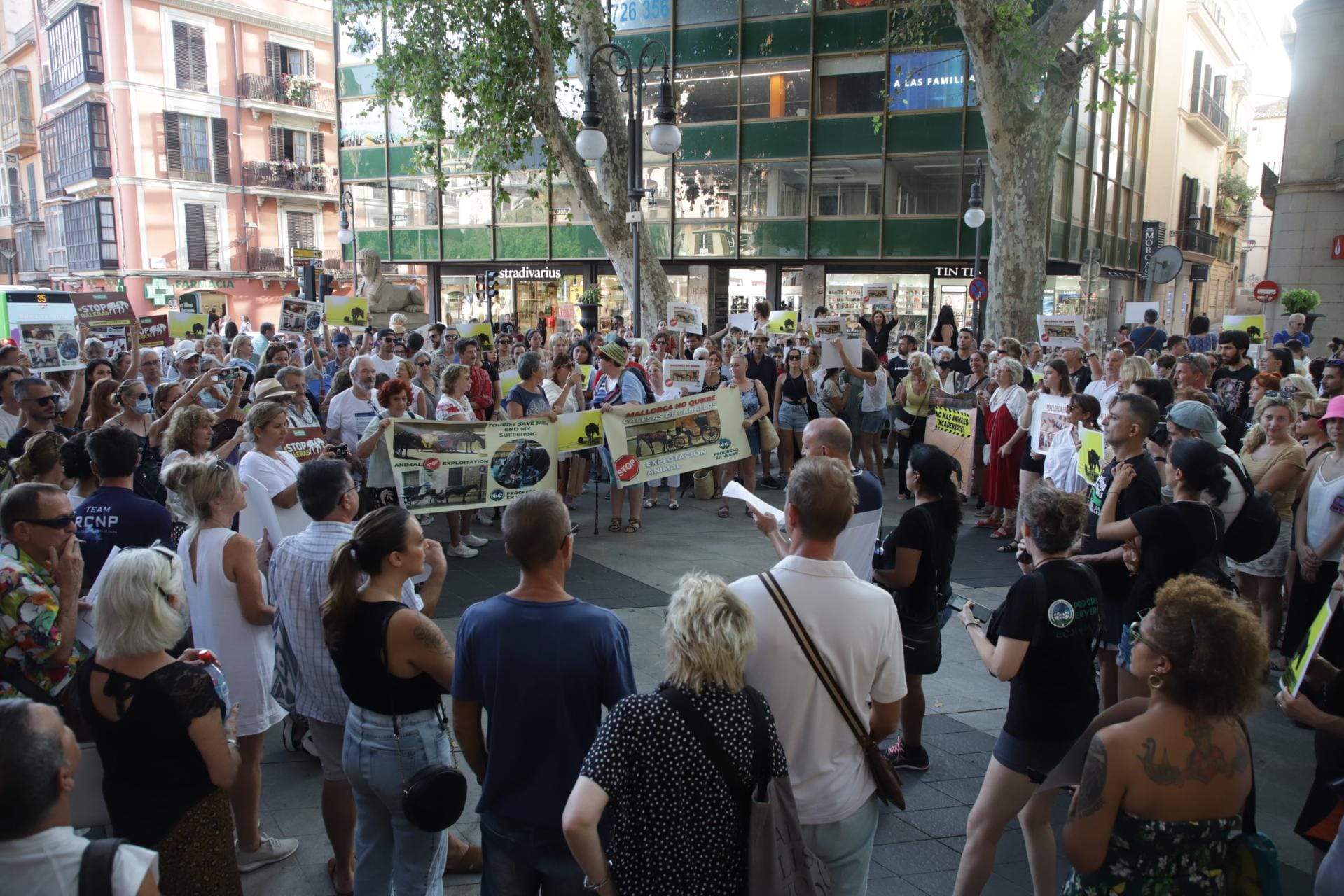 Unas trescientas personas se manifestaron en contra de las calesas tradicionales.