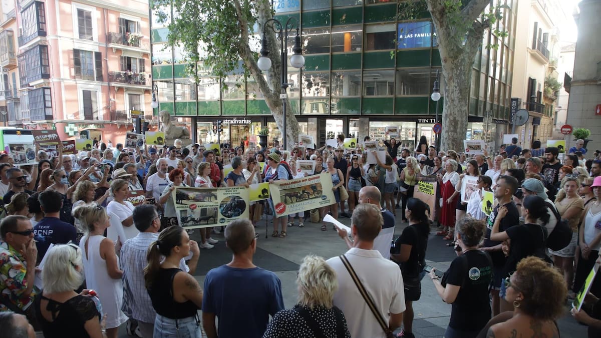 Unas trescientas personas se manifiestan en Palma en contra de las calesas tradicionales