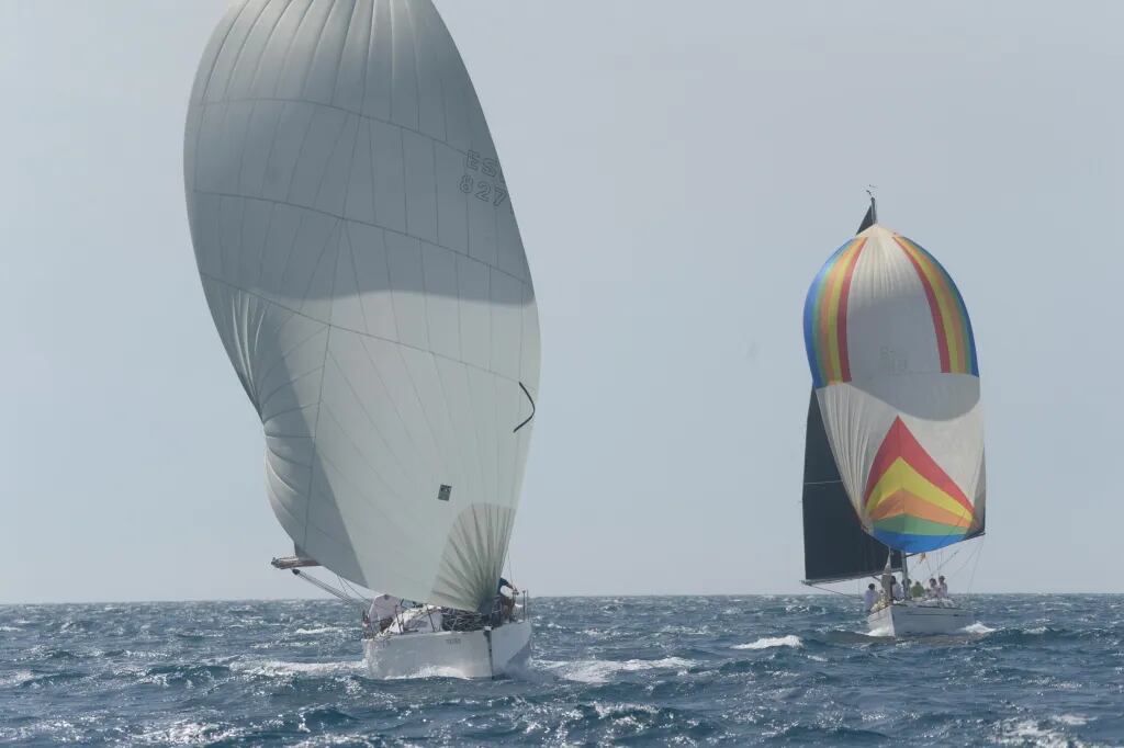 El Real Club Mediterráneo en la Copa Bahía de Málaga