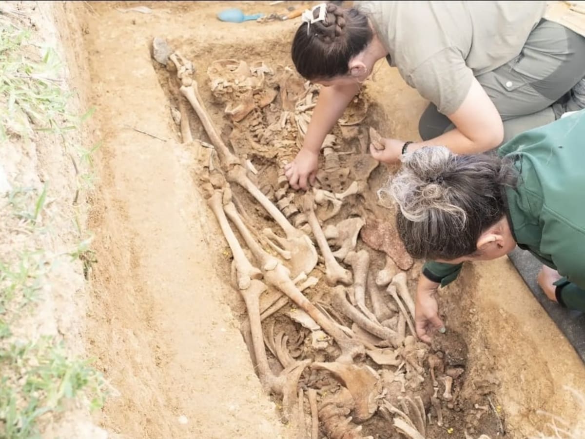 FRANCISCO CARRION- CUERPOS EXHUMADOS-