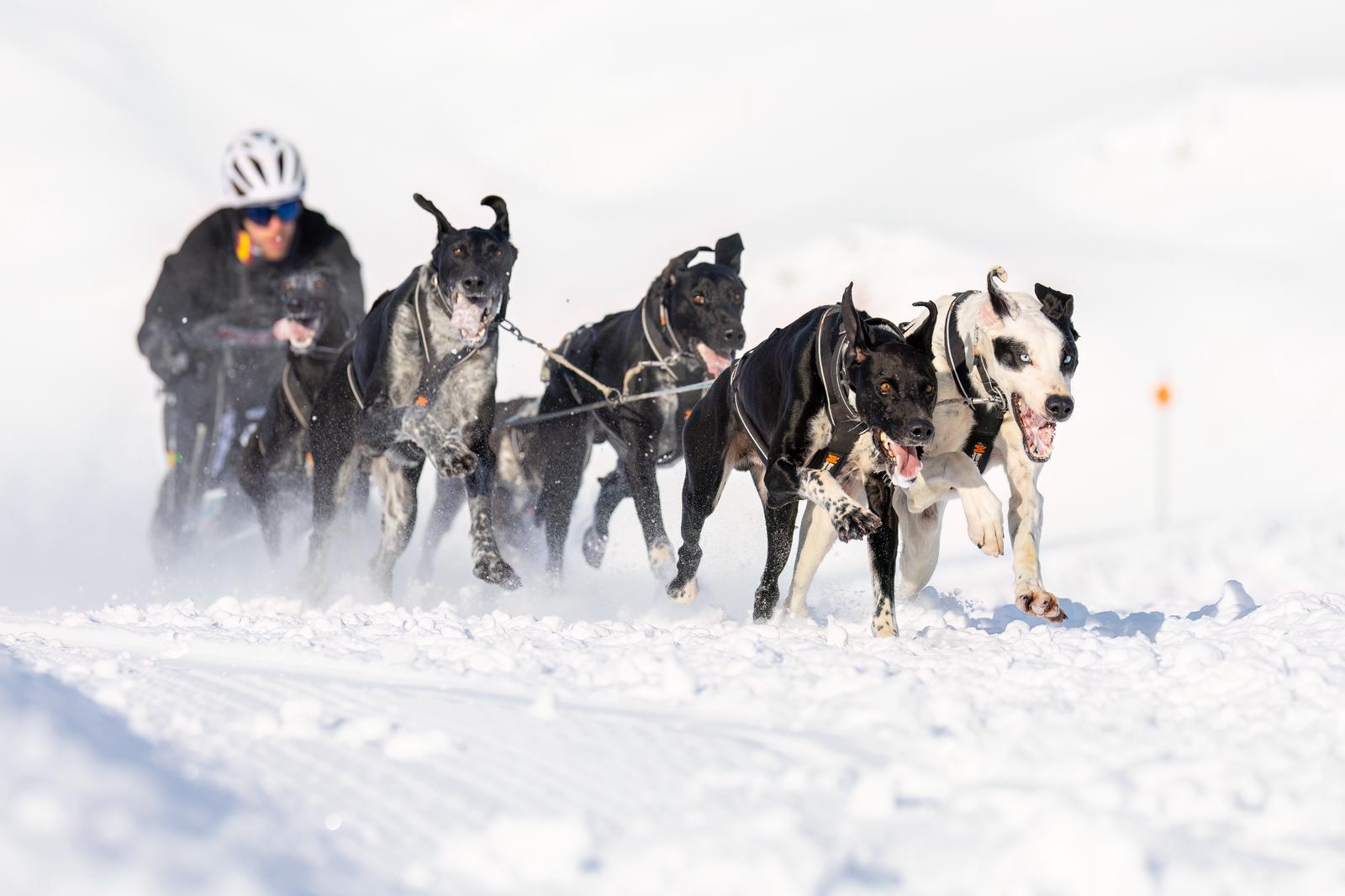 Jorge García, en el Campeonato de España en Baqueira Beret.