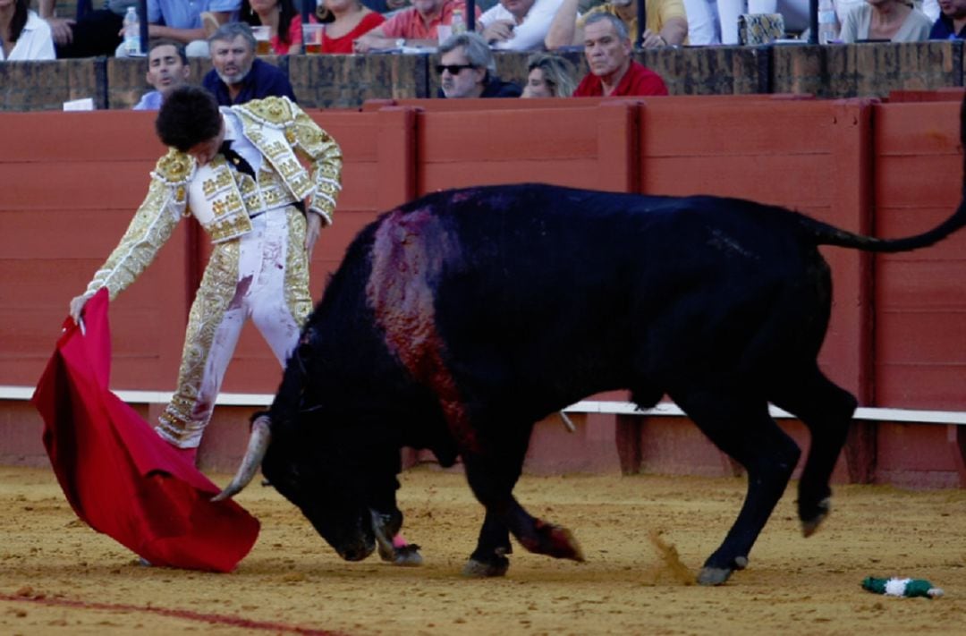 Ángel Jiménez, durante su actuación de la pasada Feria de San Miguel en La Maestranza