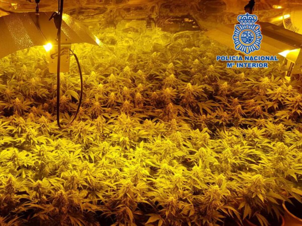 Desmantelado un nuevo laboratorio clandestino