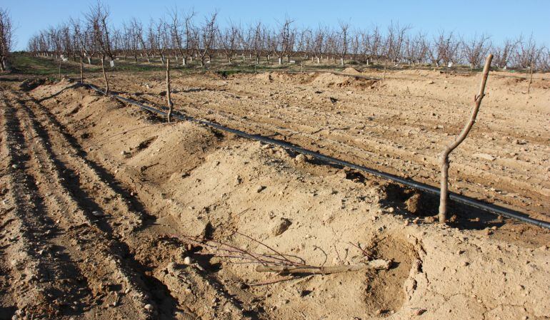 Terrenys agrícoles a Sunyer