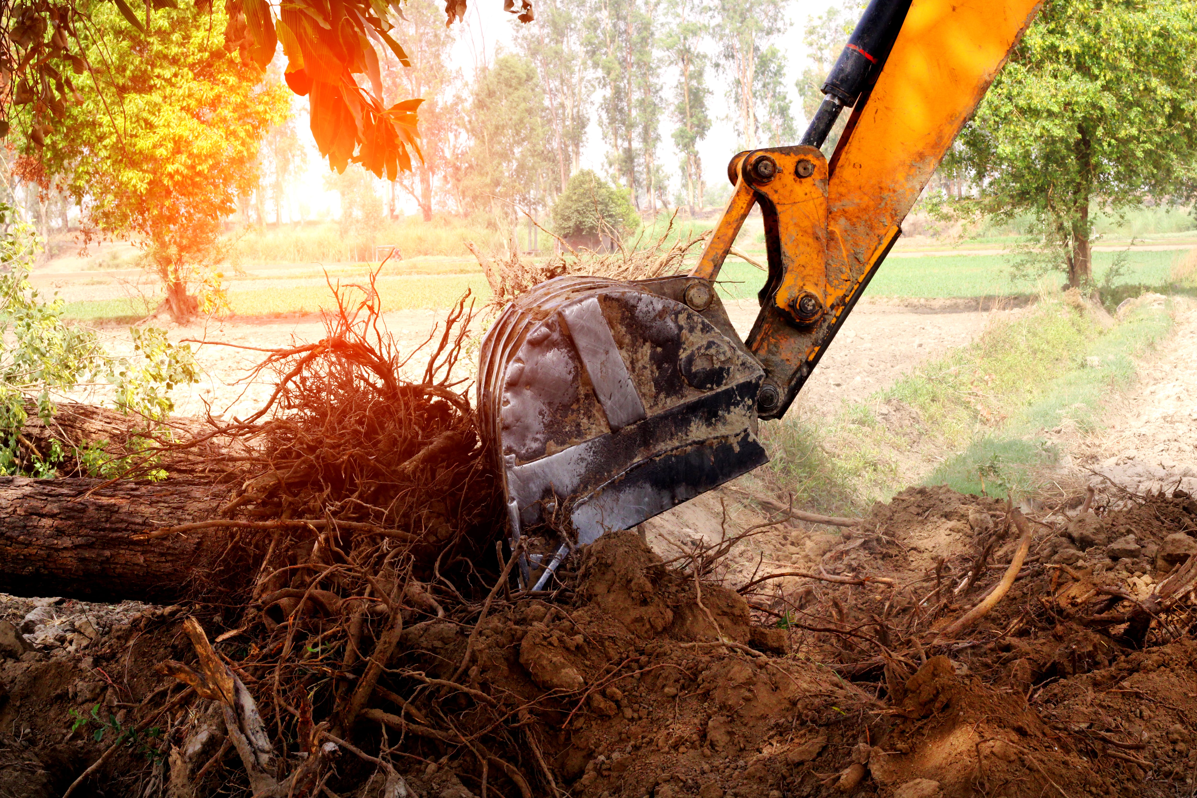 Pala trabajando sobre un terreno