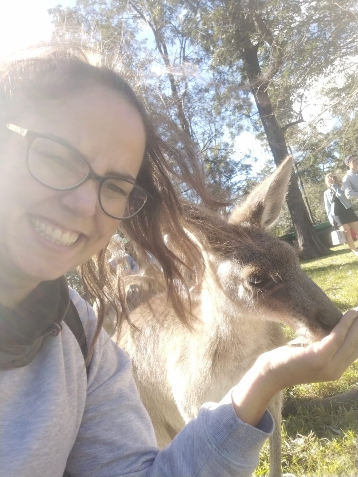 Taly con un canguro