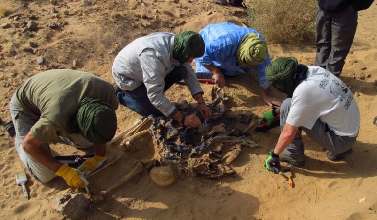 Imagen de los huesos encontrados en fosas comunes en el Sahara