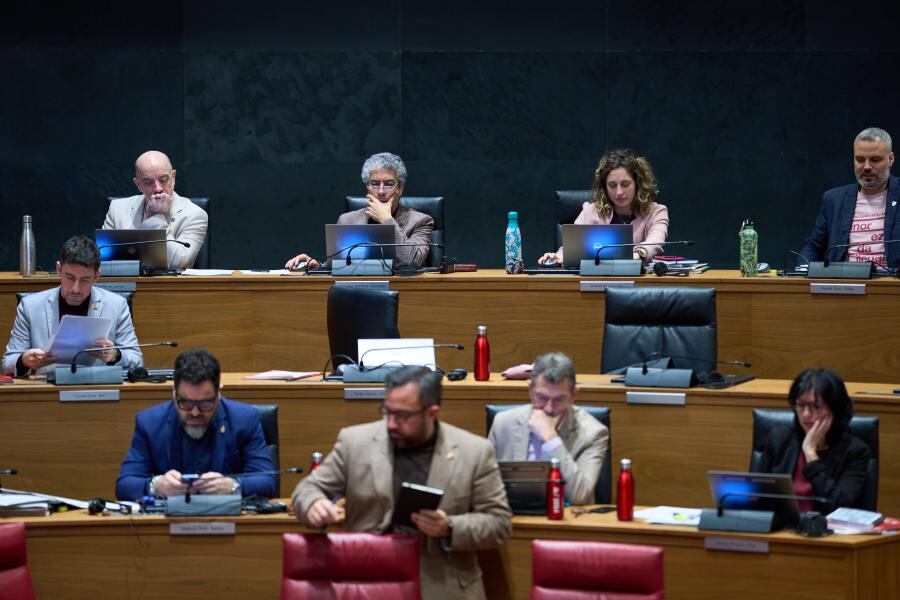 Momento del pleno del Parlamento de Navarra de este jueves, 19 de febrero.