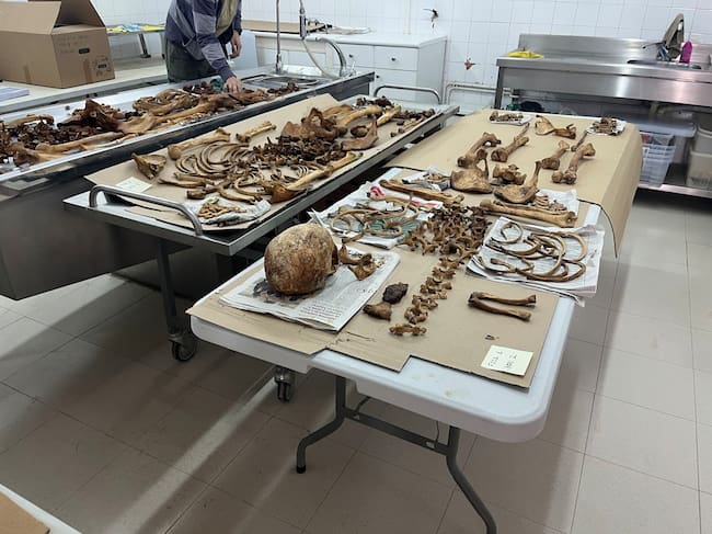 Continúan los trabajos de exhumación en el cementerio de Ejea