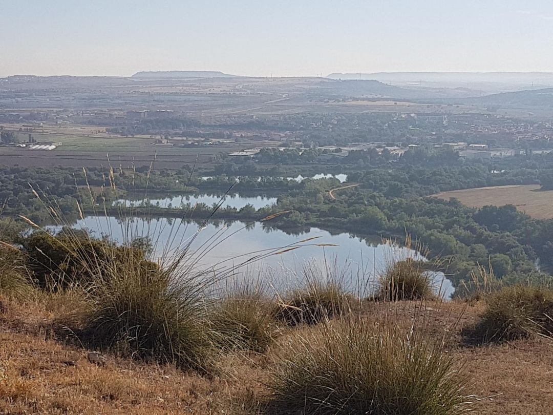 Comarca de Rivas-Vaciamadrid