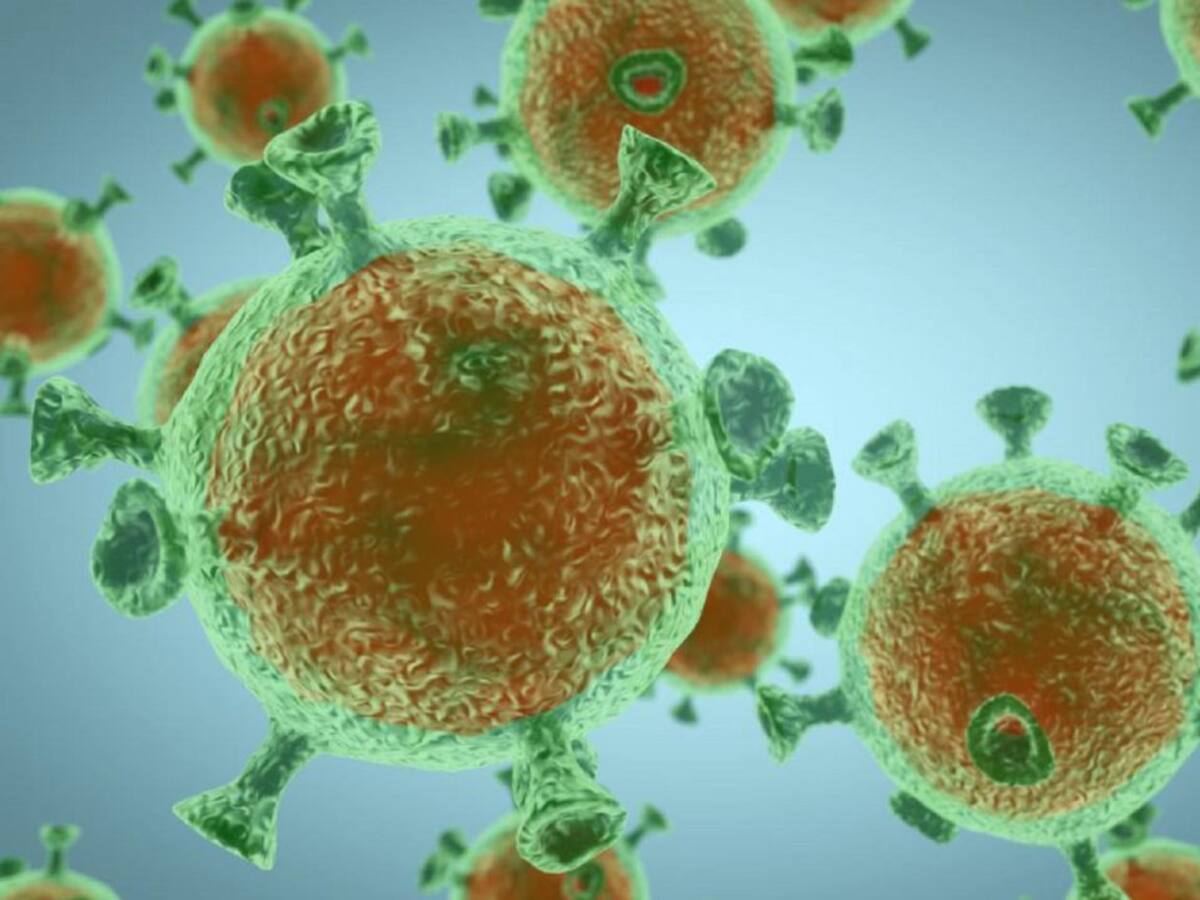 Investigación contra la Covid "made in Aragón"