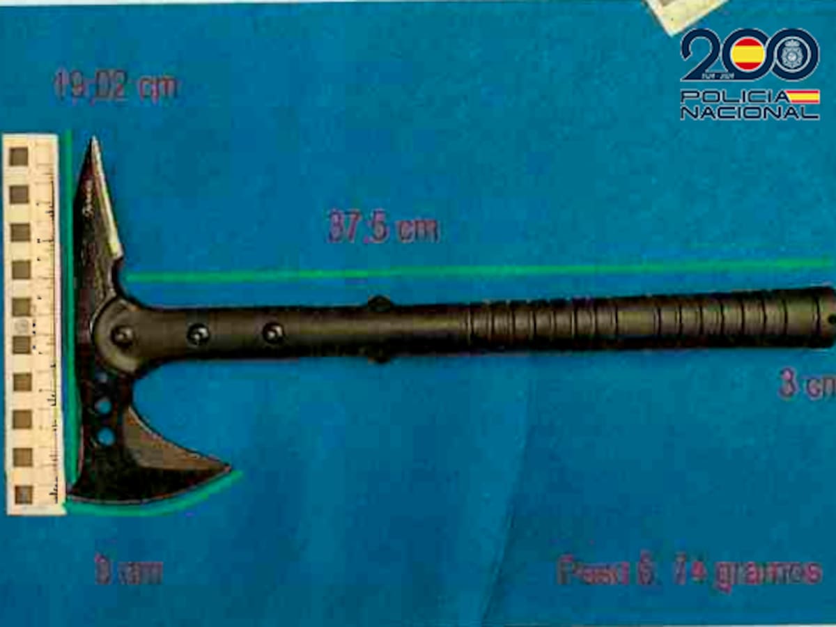 Detenida una mujer por intentar matar con un hacha a su expareja mientras dormía